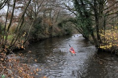 image1-1