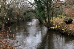 image1-2