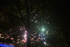 IMG_0421