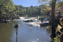 IMG_0443