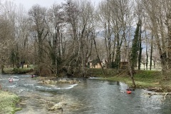 IMG_6585