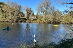 IMG-20241119-WA0008