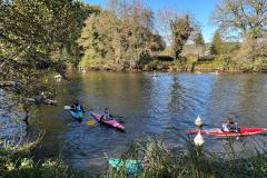 IMG-20241119-WA0009