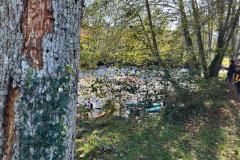 IMG-20241119-WA0011