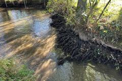 IMG-20241119-WA0016