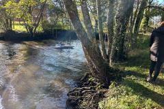 IMG-20241119-WA0026