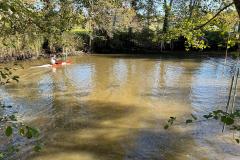 IMG-20241119-WA0029
