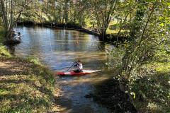 IMG-20241119-WA0033