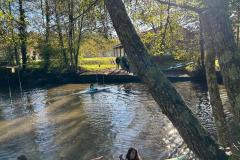 IMG-20241119-WA0036