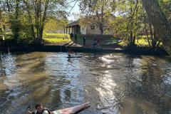 IMG-20241119-WA0041
