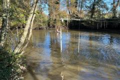 IMG-20241119-WA0046