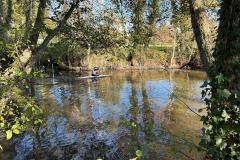IMG-20241119-WA0086