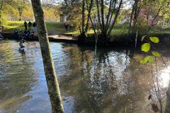 IMG-20241119-WA0091