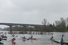 IMG_6494