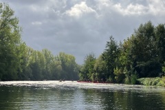 IMG_3050