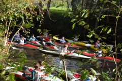 Course Jeune Marsac 15.11.25