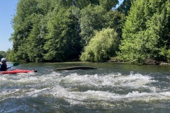 IMG_4665