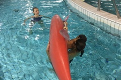 IMG-1548