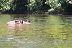IMG-20250622-WA0069