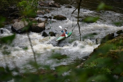 DSC_0147
