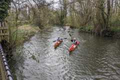 IMG-20240326-WA0019