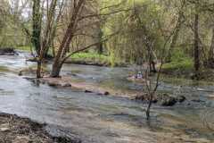 IMG-20240326-WA0022