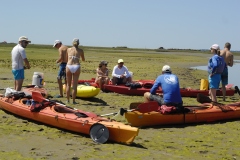 ARCACHON23