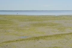 ARCACHON25