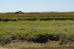 ARCACHON26