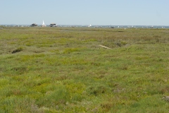 ARCACHON27