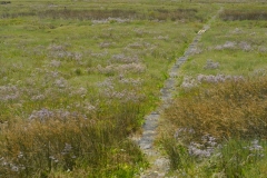 ARCACHON29