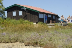 ARCACHON31