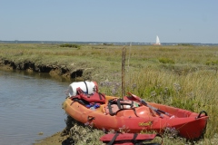 ARCACHON39