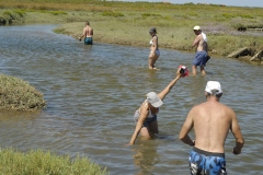 ARCACHON43