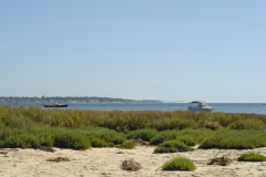 ARCACHON45