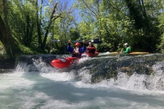 IMG_4704