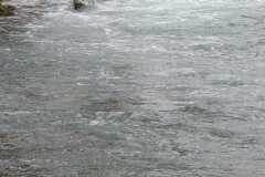 IMG-20250211-WA0091