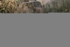 IMG_0736
