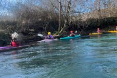 IMG-20250228-WA0007