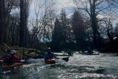 IMG-20250228-WA0010