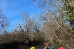 IMG-20250228-WA0020