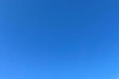 IMG-20250228-WA0043