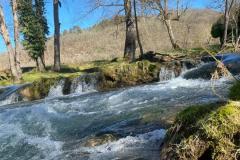 IMG-20250228-WA0051