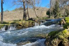 IMG-20250228-WA0053