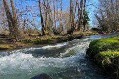 IMG-20250228-WA0081
