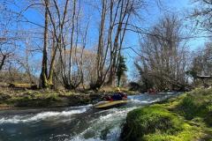 IMG-20250228-WA0083