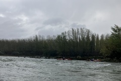 IMG_0229