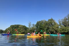 IMG_0081