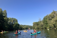 IMG_0088