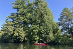 IMG_0141